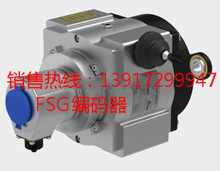 FSG电机SL3010-FK1023-MU/GS130