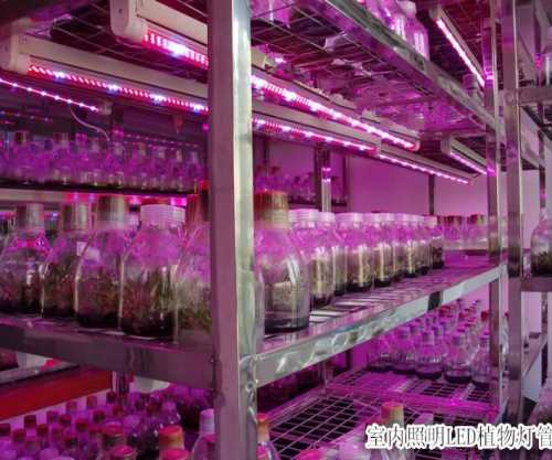 LED植物补光灯-RS485温湿度变送器探头-北京西星光电科技有限公司