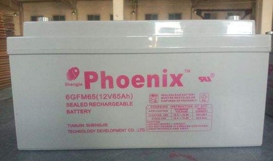 天津凤凰Phoenix蓄电池12V