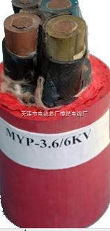 1140V-矿用移动屏蔽橡套电缆MYP