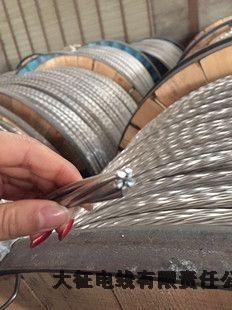 大征电线有限责任公司生产钢芯铝绞线
